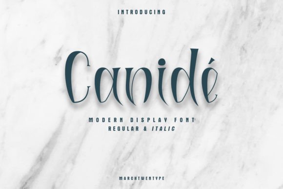 Canidé Display Font: A Marketer’s Tool for Scroll-Stopping Content